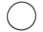 7000723 O'Ring | JLG